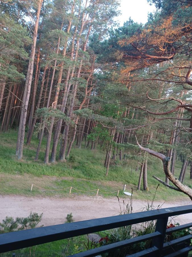 Pusynas Prie Juros Lejlighed